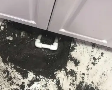 定西市查漏水哪家好