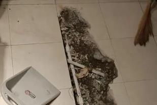 定西市卫生间漏水检测电话
